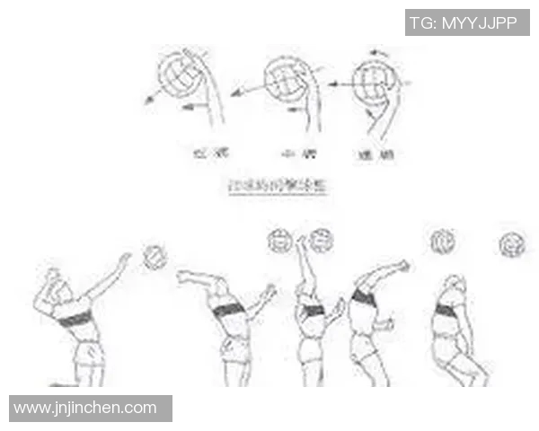 成都排球队的阵地战策略与技术解析深度剖析排球运动的魅力与挑战